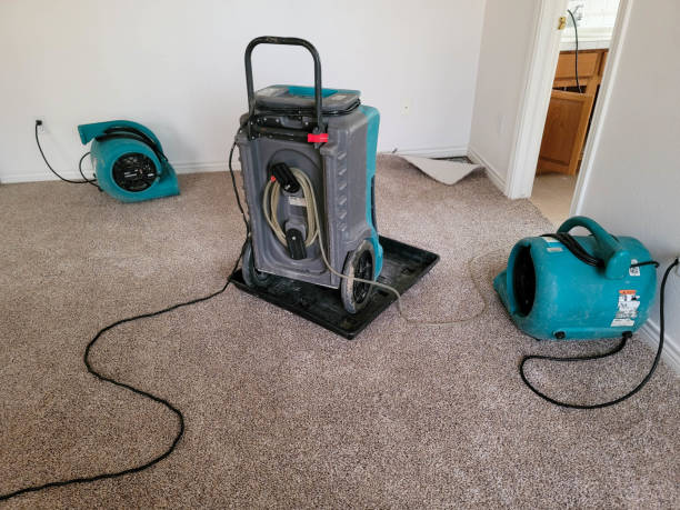 Best Fire Damage Restoration  in Idylwood, VA