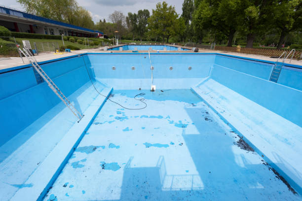 Best Flood restoration services  in Idylwood, VA