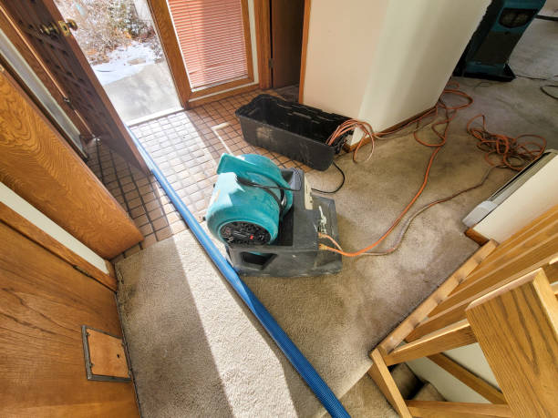 Best Ceiling water damage repair  in Idylwood, VA
