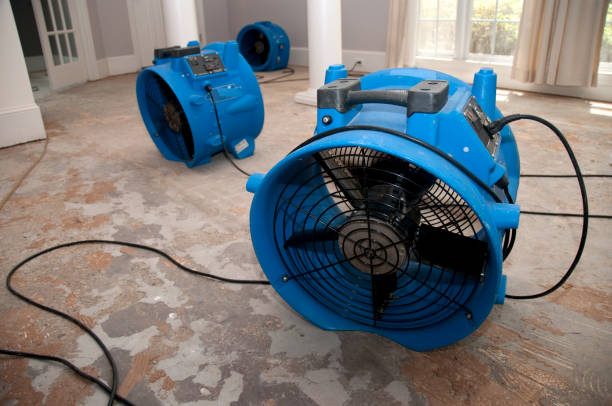 Best Fire Damage Restoration  in Idylwood, VA