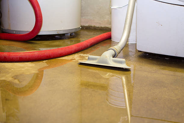 Best Local water damage restoration  in Idylwood, VA