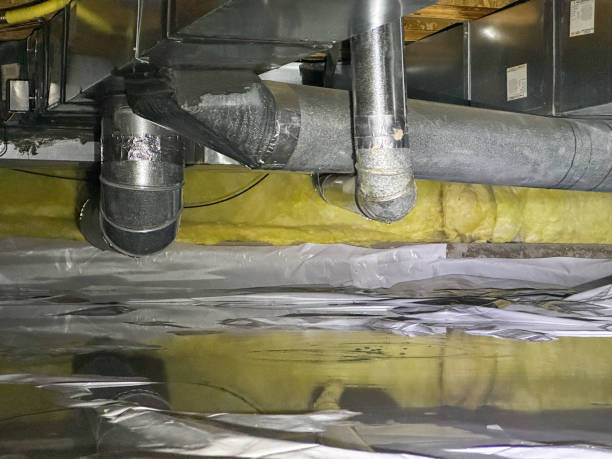 Best Water damage contractors near me  in Idylwood, VA