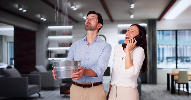 Best Water damage contractors near me  in Idylwood, VA